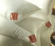 Brinkhaus Pyrenean Duck down and feather pillow 15/85%