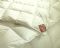 Premier down Pearl duvet - All seasons system