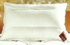 Premier down Sapphire pillow